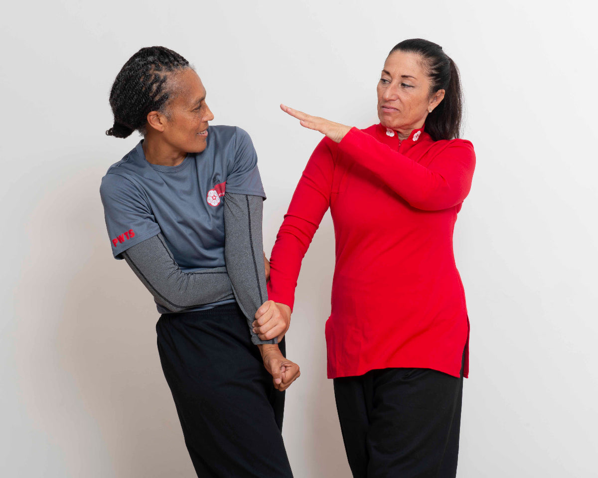 Carnet de 5 cours particuliers de Wing Tsun (5h)