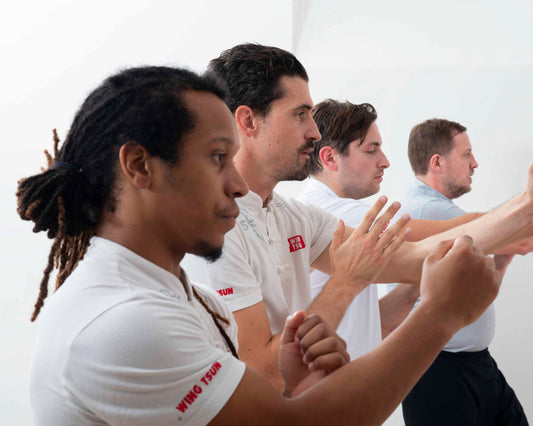 Cours collectif d'essai Wing Tsun