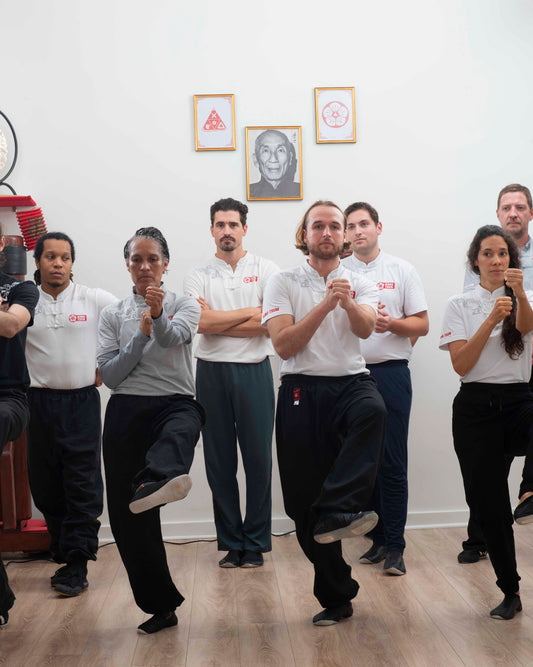 Abonnement annuel Wing Tsun Paris (1 cours / semaine)