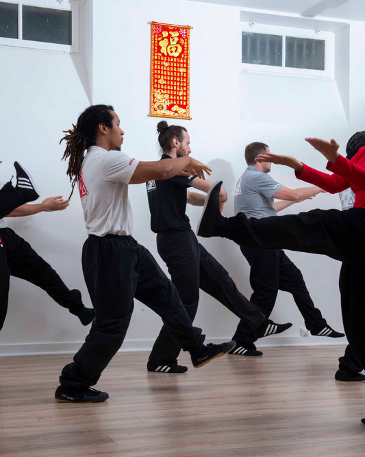 Abonnement annuel Wing Tsun Paris (illimité)